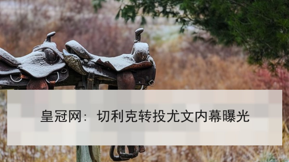 皇冠网: 切利克转投尤文内幕曝光 皇冠网: 切利克转投尤文内幕曝光